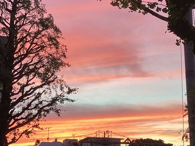 8E9F8006-7AE1-4449-A401-D363BFD0A5DE