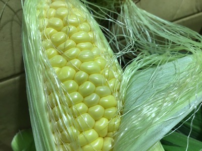 382B958D-3965-4098-9546-70D0C3DAF751