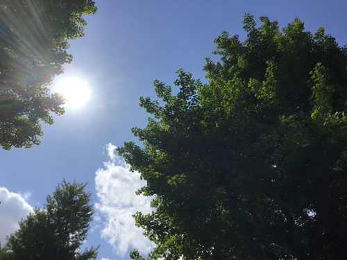 C37D1F28-618B-4D73-8A8F-DBF4C9B7CA15