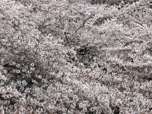 351B02A1-7E98-4D3A-A260-FA654338DF94