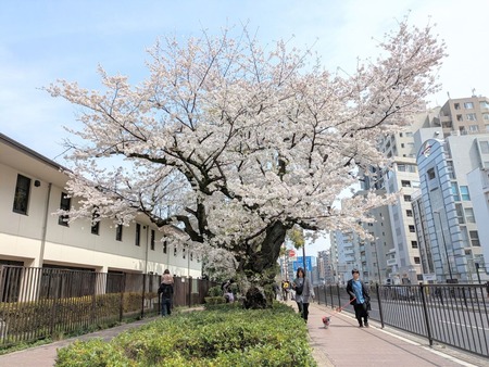 PXL_20250330_022410247~2