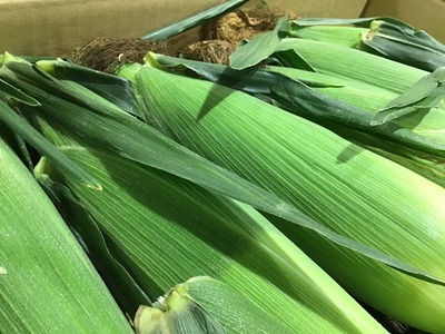 FC0D2FEF-E413-4590-A22D-E969DAD6C2D4