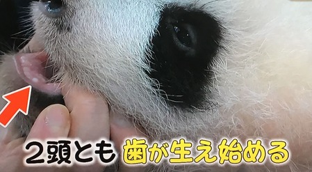 B36B2816-09A8-44AE-8DC4-9A9BF0051EEE