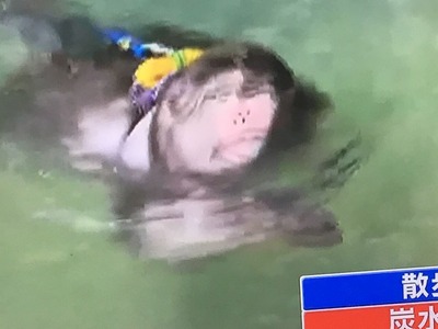 D8CC2A69-B013-4645-8260-7B5F70AC035A