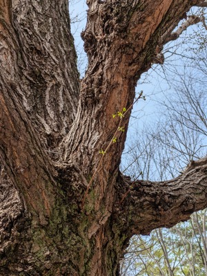 PXL_20250330_022301229