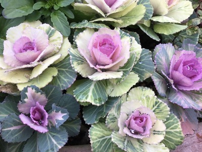 0C18335F-F63E-46A0-B3D5-DCBD45AA522F