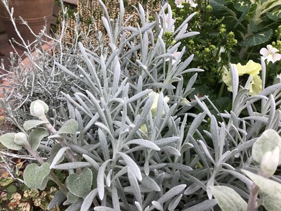 12127F62-E961-4D95-A376-B7B0BD989B11