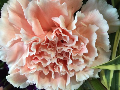 A0351A27-476E-4917-992B-BD9A4A2D3131