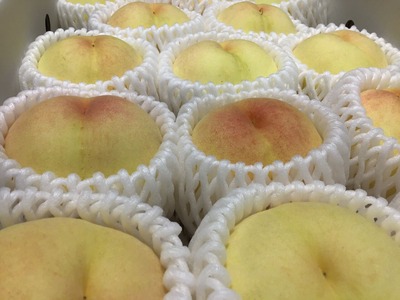 51242674-950A-47F4-8184-8292C664ED5C