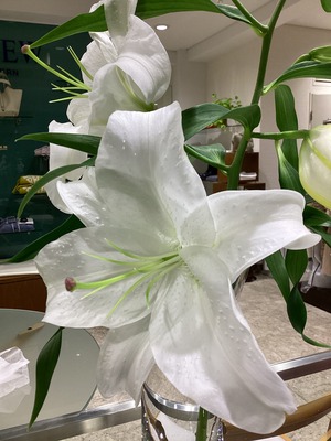 1515F2D0-EE88-442C-9983-73DD6C109849