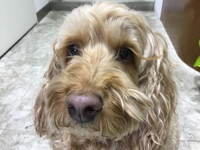 85223F1E-0A8D-4D5E-805D-CCDFFA792125