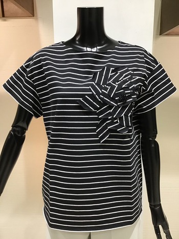 FAC4A198-57D7-43F5-B16A-08776B6FDD72