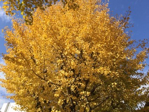 76E803DA-AB83-492F-AADE-21810F0AF1B6