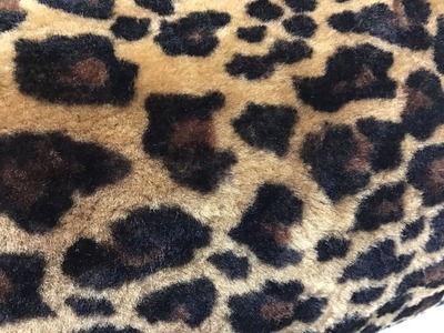 DA25599A-668E-4B41-A0C0-8A6DB709FA59