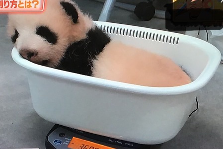 0432F87E-DF01-4CF4-A147-A40CBF2534D2