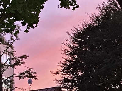 FD694CF5-3E5A-49FF-A743-1B978AC05240