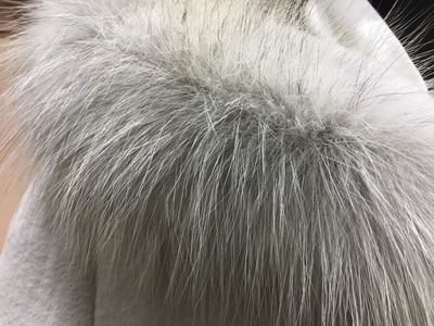 A36D93D9-589D-4007-86DB-45624B2EB425