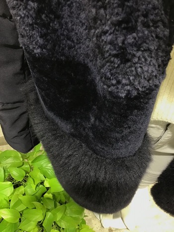 1C129651-F1D2-425C-8E6B-E53E1BE162CC