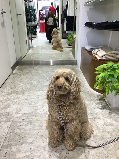 7385496A-473F-48FC-86C2-3B6D3B8DEB34