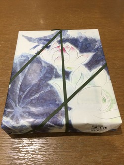 3F9F2DCF-9D62-4249-A2D2-7D42F85F1B8C