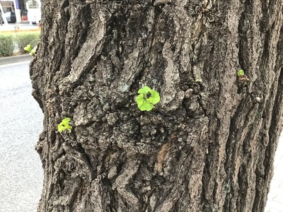 96D8823C-B590-479C-B295-9533F484A839