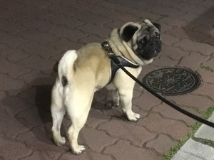 625582DB-FDAB-4676-BD68-E31AE5DDF97C