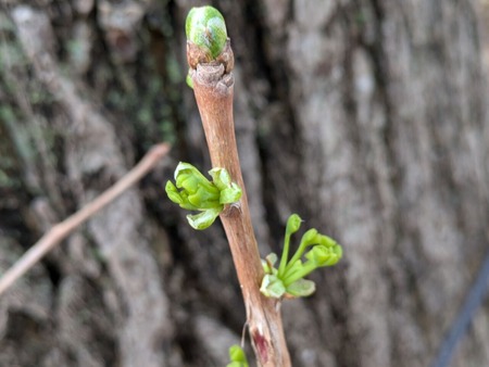 PXL_20250330_022250258