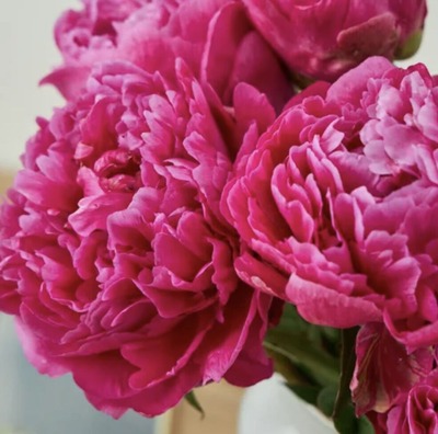 F3B15BB2-0356-42DA-88E4-A3289B8DC305