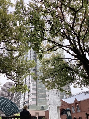 6AD35E5E-697C-4B23-B3F2-792D7AFBA873