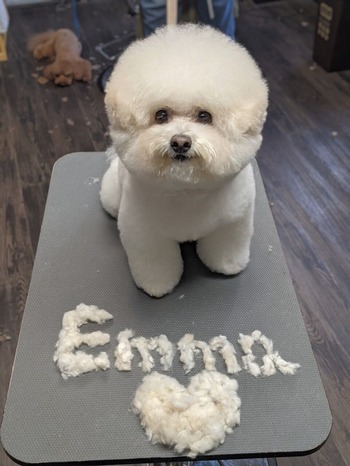 E3B8AF02-7B16-4E17-8192-8802482F6F46