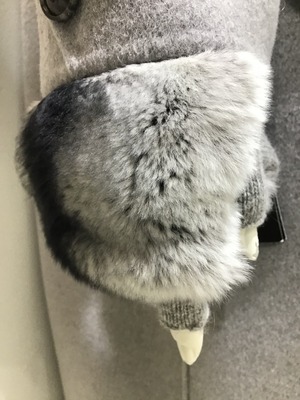 70EFD799-24A7-4405-AB97-41DF1C11614C