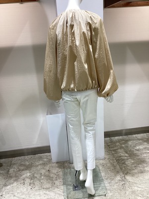 245C4234-6FA7-4FF9-A6A0-A582669B9696