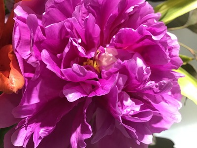 2A5C2D0D-6AF7-403C-BE4E-B23E0DEA2618