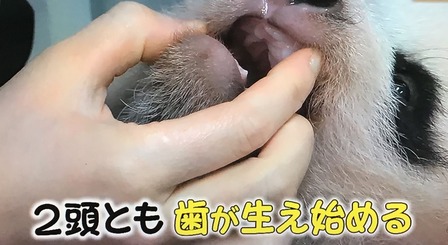 3983A813-08EC-4072-9152-6EB56E3A183C