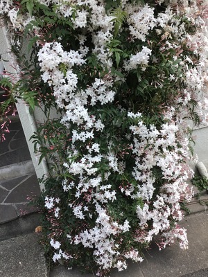 759F2D95-912F-4B1B-853B-99A83F324467