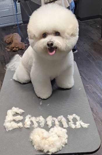 E1D6C2A4-B177-450F-844E-9D4C24BDB133