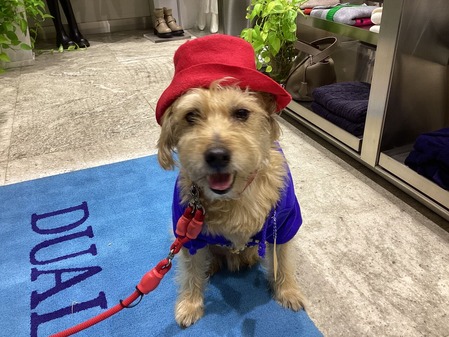 D82620A6-3A92-4EBF-825B-CE836BFE209D