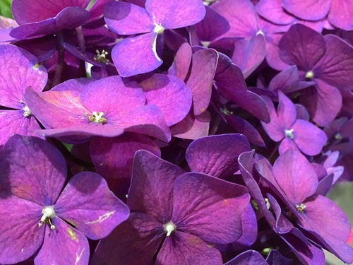 AC9E5B12-61C9-4C7E-9FCF-7617F1159309