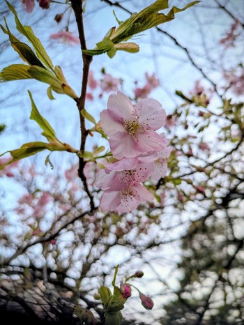 PXL_20260218_081440193~2