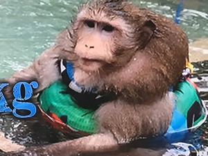 8D51AA35-A0B9-418E-AC46-3DF35D55BC90