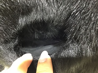 FDBFAE82-305C-48EF-A1DE-8437443554BE