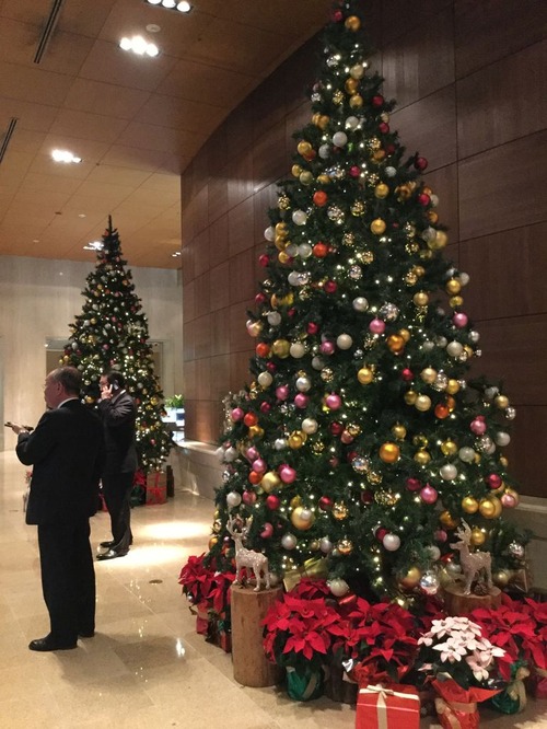 1580B68F-5CB4-4AA9-803D-960EF4104591