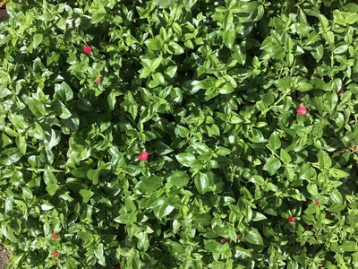 365278E9-900E-4815-8EAE-6F73EE029458