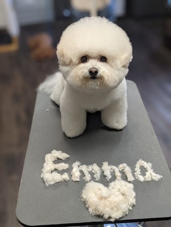 6F08A344-0550-4563-B57C-999AF215709D