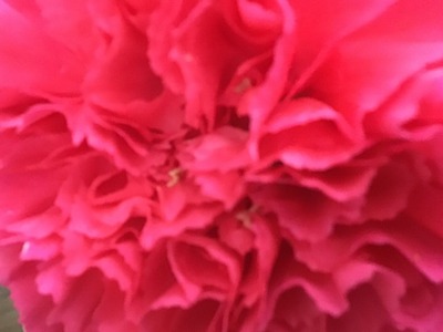 457DD8D0-CFE3-493F-AD1F-E19E73D6E0CC