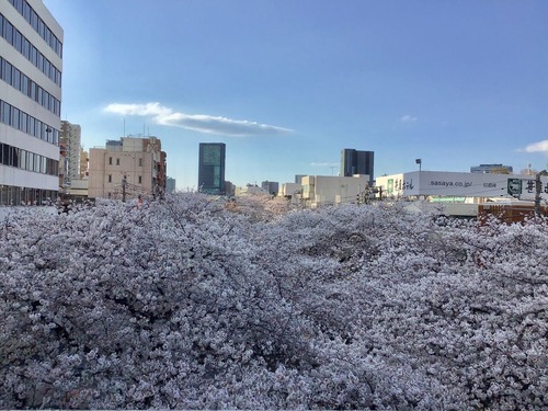 47A9B772-1D95-4B73-9DA0-8AC531B56F5C