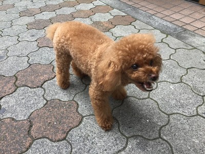 85B173DA-2953-48C0-8E54-BD3F9012FAA2