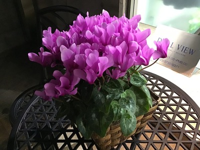 0210F88B-940A-4AF9-B22C-89381102FC2E