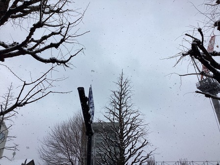 BC9FFE48-4681-4735-AB01-F32124892191