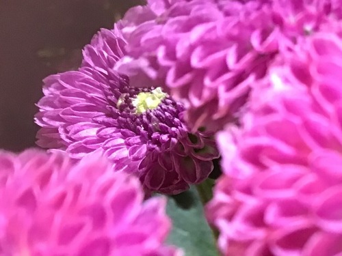 784C0278-8645-479C-9850-39E32010D369